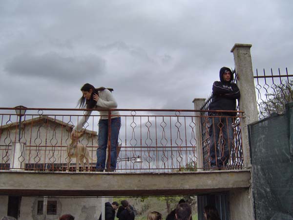 cpdanno_0057