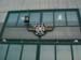 wildtour_0081