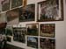 wildtour_0087