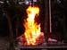 compl_barb_0058