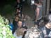 compl_barb_0096