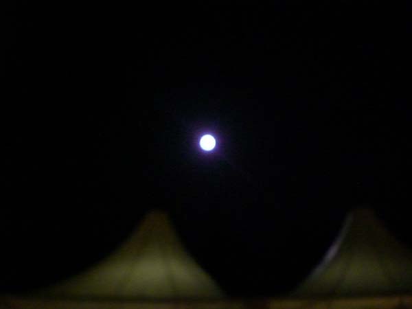 cloacaold_0230