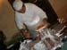 cloacaold_0047
