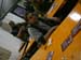 cloacaold_0158