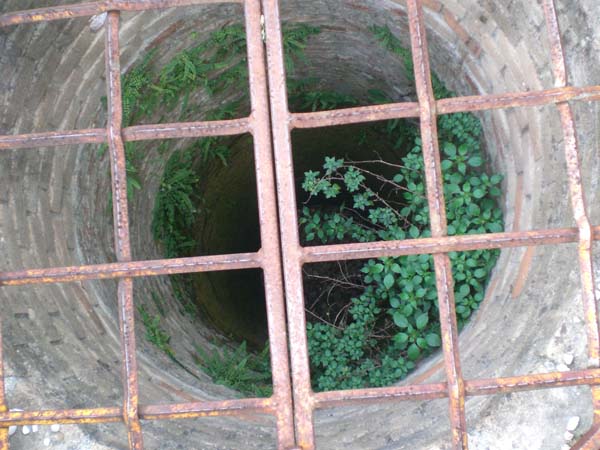 wildtour_0015