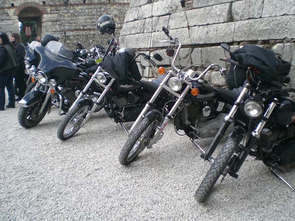 wildtour_0016