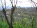 wildtour_0032