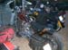 complelupi_09_0013