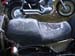 banana_day_2010_0048